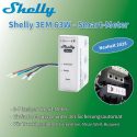 Shelly 3EM Gen3 Shelly 3EM 63W Smart-Meter für Trucki (Test)